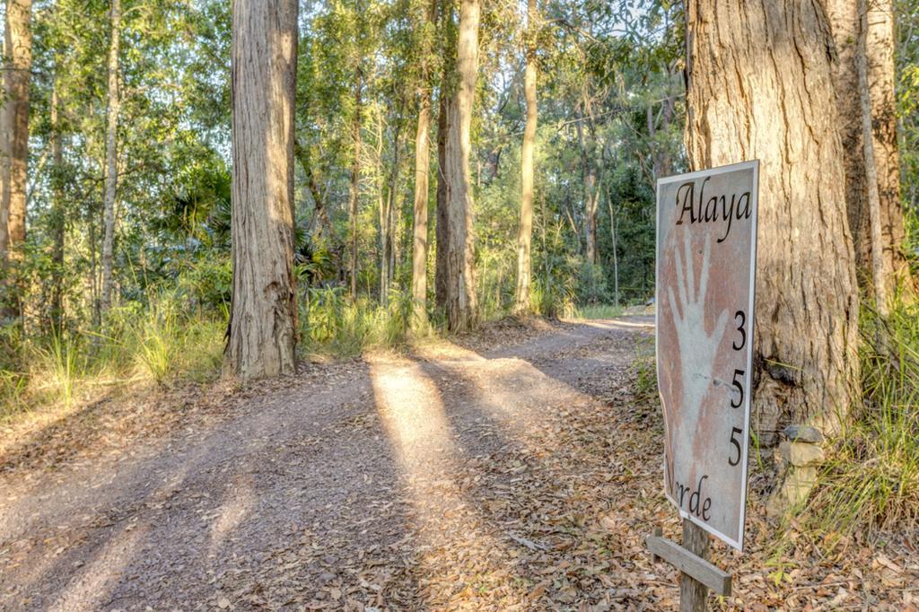 Alaya Verde Bed & Breakfast Ringtail Creek Extérieur photo