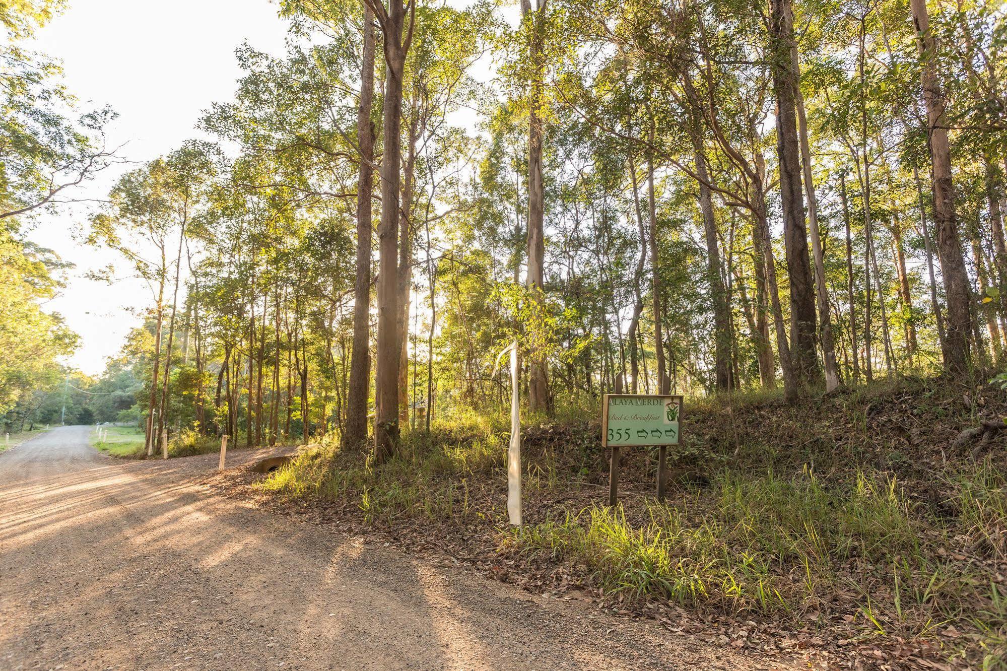 Alaya Verde Bed & Breakfast Ringtail Creek Extérieur photo